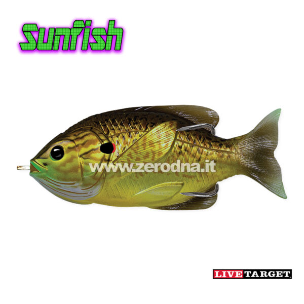 Live Target Sunfish Hollow Body - 556