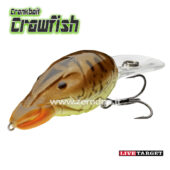 Live Target HFC Crawfish