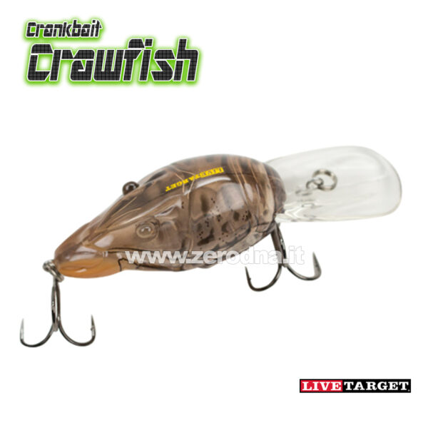 Live Target HFC Crawfish