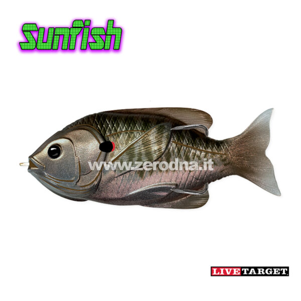 Live Target Sunfish Hollow Body - 561