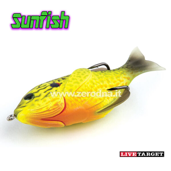 Live Target Sunfish Hollow Body