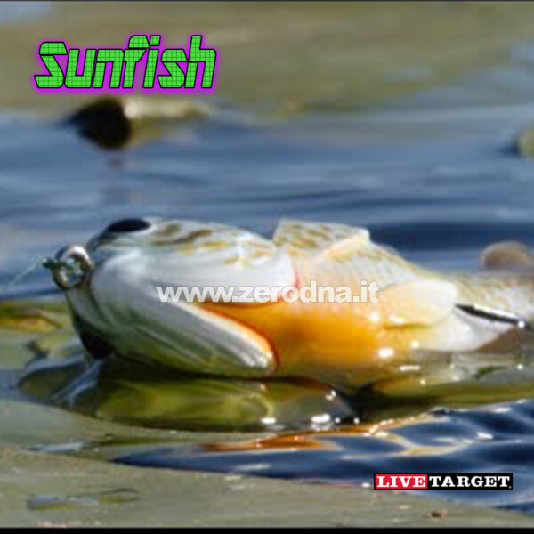 Live Target Sunfish Hollow Body