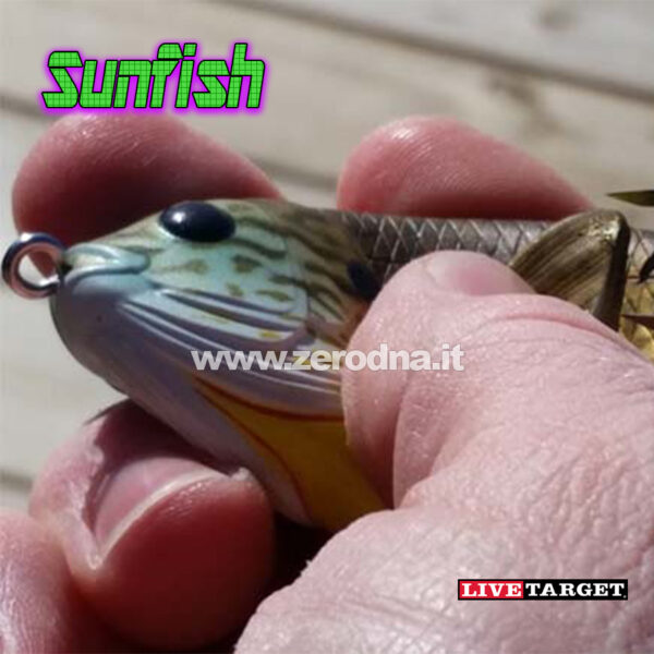 Live Target Sunfish Hollow Body