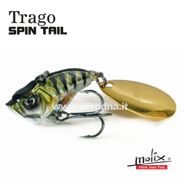 Molix Trago Spin Tail