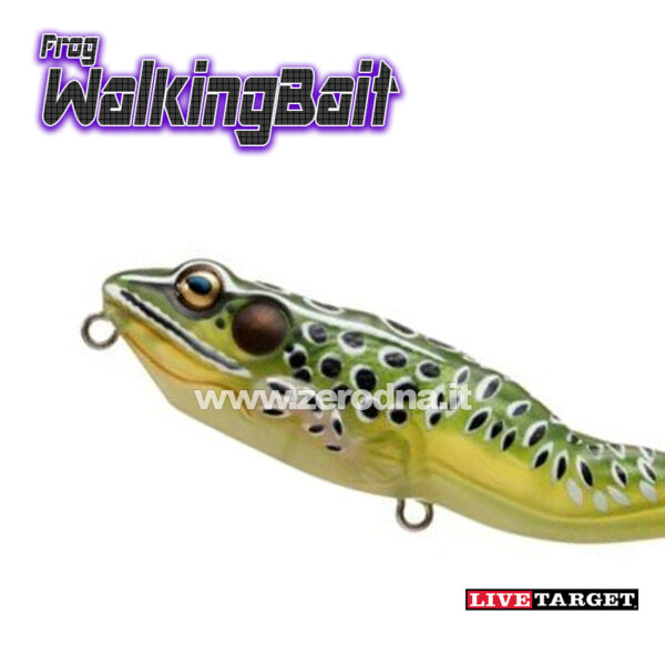 Live Target Frog Walking Bait