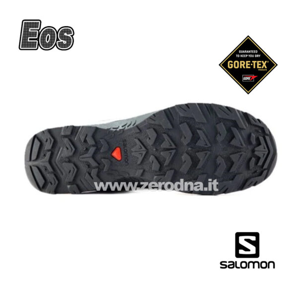 Salomon Eos GTX