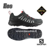 Salomon Eos GTX