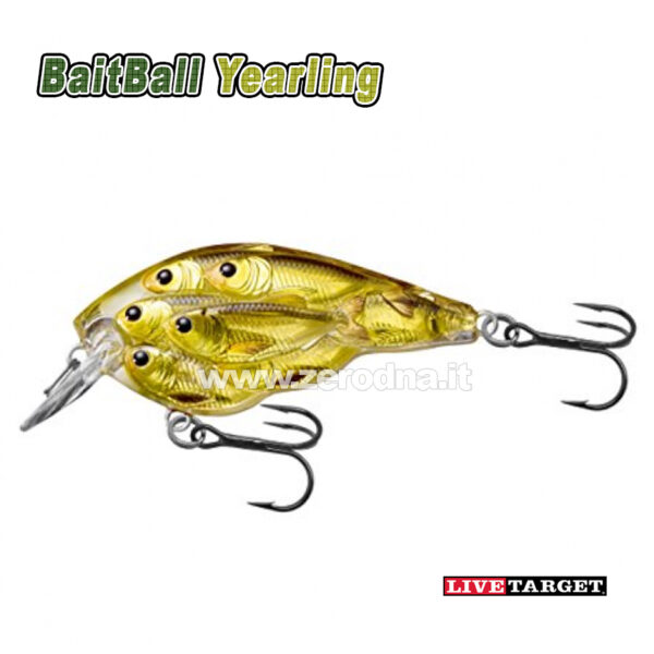 Livetarget Glass Minnow Baitball Popper - 954