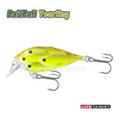 Live Target Bait Ball Yearling