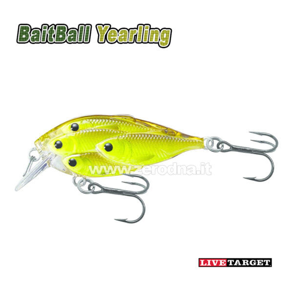 Live Target Bait Ball Yearling
