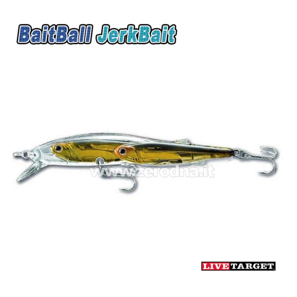 Live Target Glass Minnow