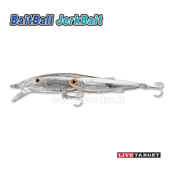 Live Target Glass Minnow