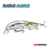Live Target Glass Minnow