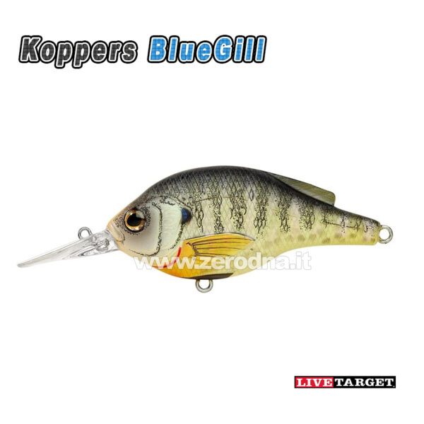 Livetarget Koppers Bluegill