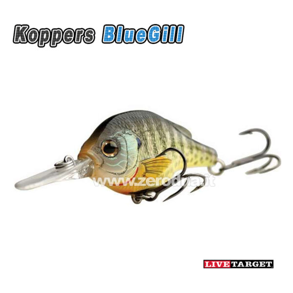 Livetarget Koppers Bluegill