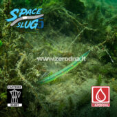 SuperFishal Space Slug