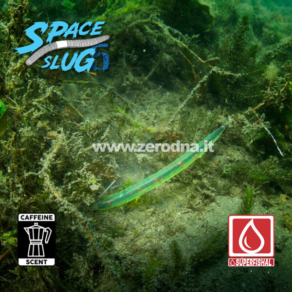 SuperFishal Space Slug