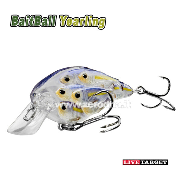 Live Target Bait Ball Yearling