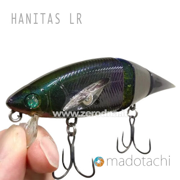 Madotachi Hanitas LR - Kanabun