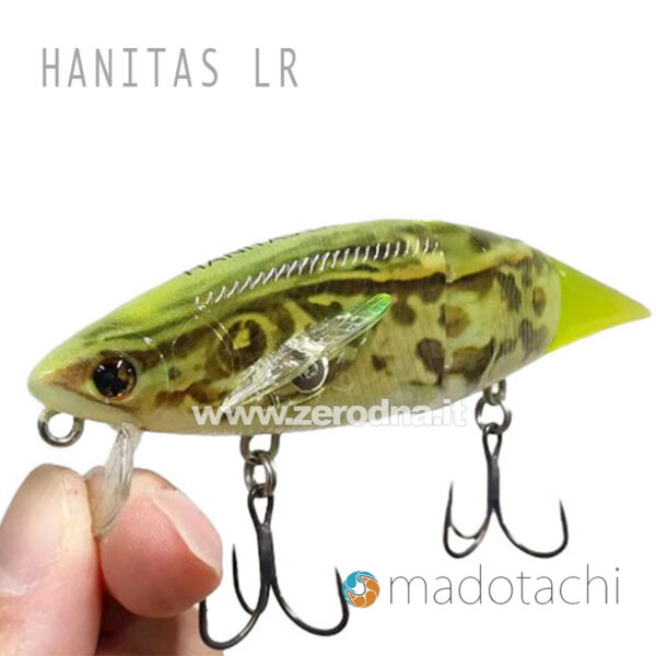 Madotachi Hanitas LR - Real Tonosama Frog