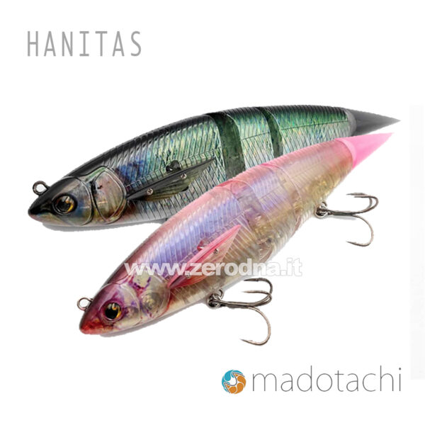 Madotachi Hanitas Plus