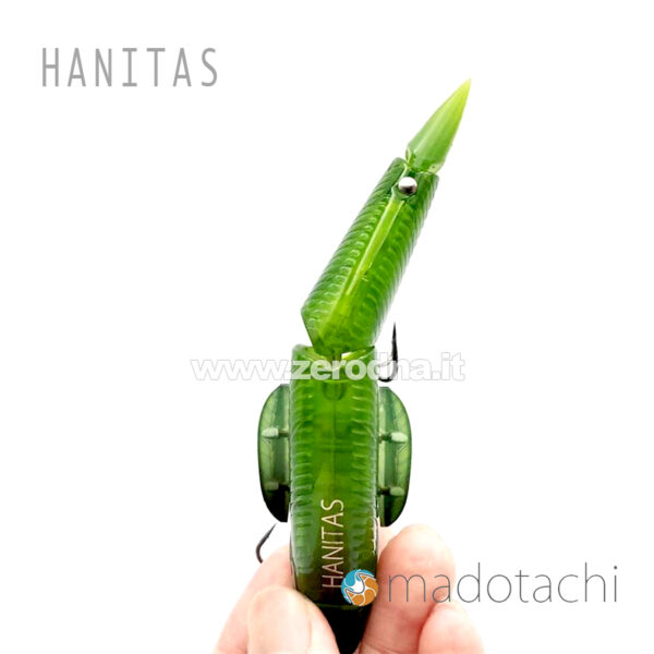 Madotachi Hanitas