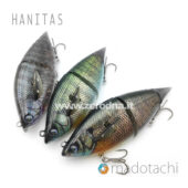 Madotachi Hanitas