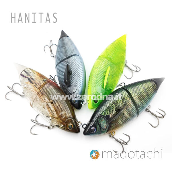 Madotachi Hanitas