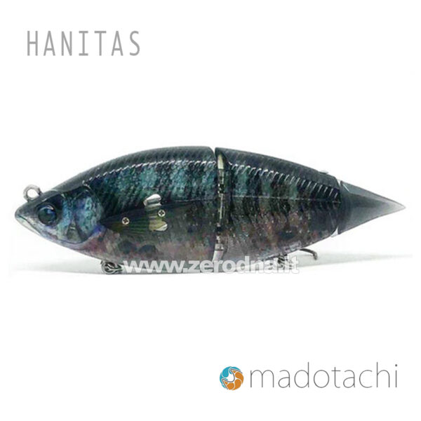 Madotachi Hanitas - Real Clear Gill