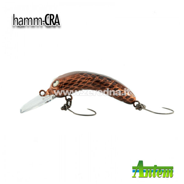 Antem Hamm-Cra - HM12