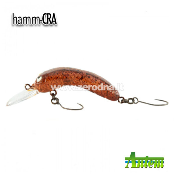 Antem Hamm-Cra - HM5