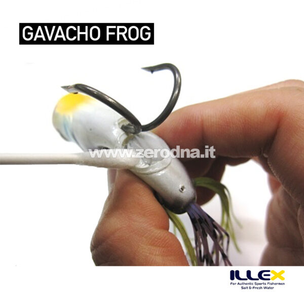 Illex Gavacho Frog