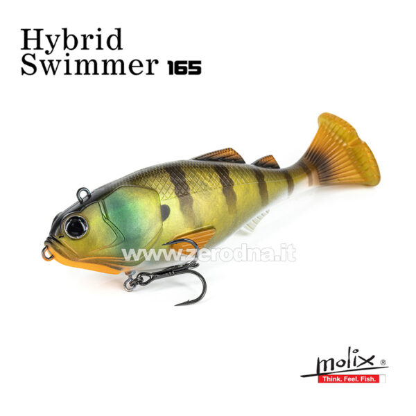 Molix Hybrid Swimmer