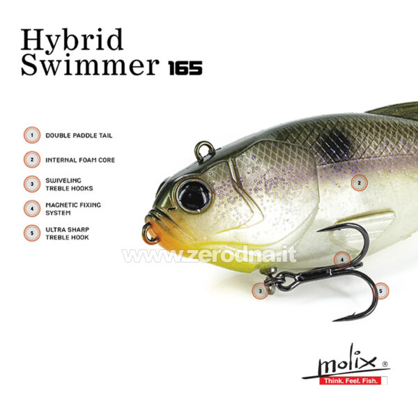 Molix Hybrid Swimmer