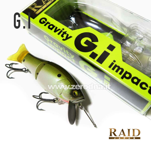 Raid Japan G. I