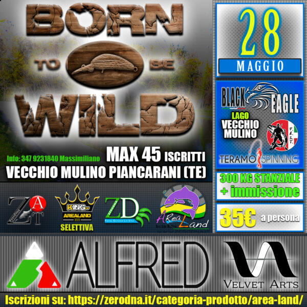 Born to be Wild - 28 Maggio