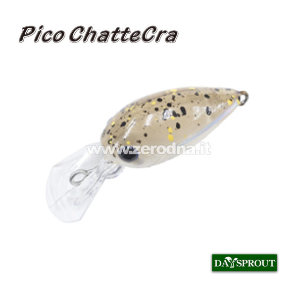 Daysprout Pico Chattercra