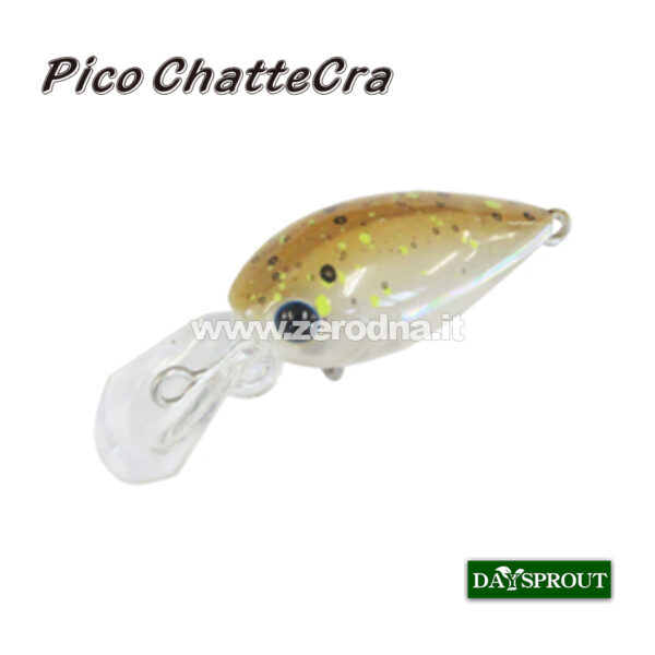 Daysprout Pico Chattercra