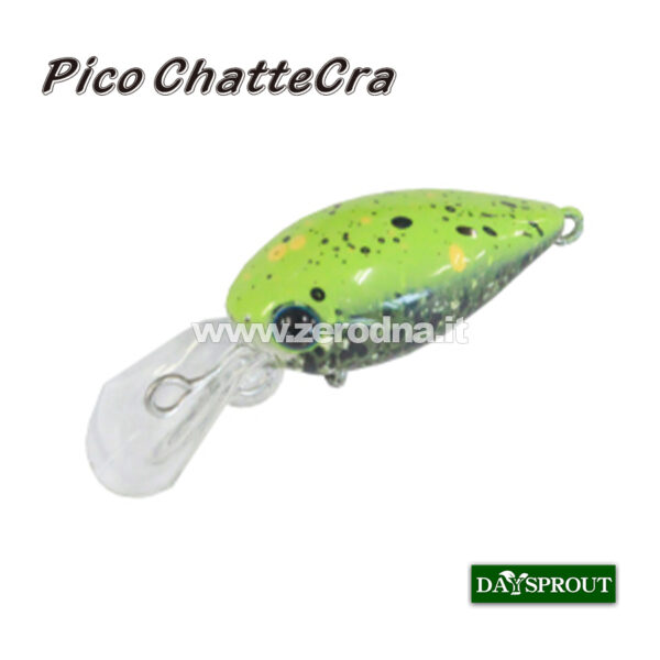 Daysprout Pico Chattercra