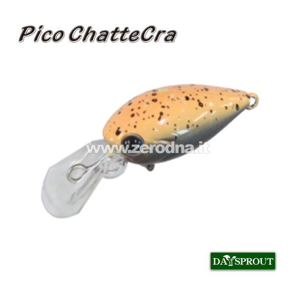 Daysprout Pico Chattercra