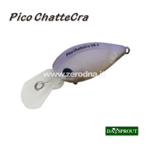 Daysprout Pico Chattercra