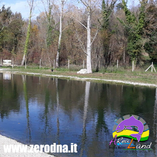 Born to be Wild – 28 Maggio