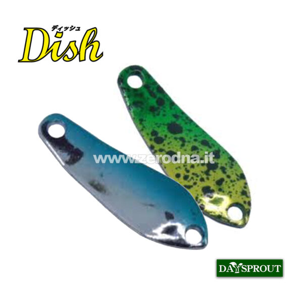 Daysprout Dish