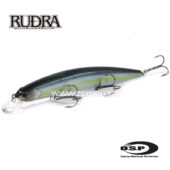 Osp Rudra 130 SP