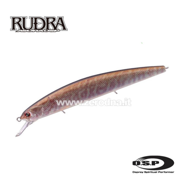Osp Rudra 130 SP - PRO25