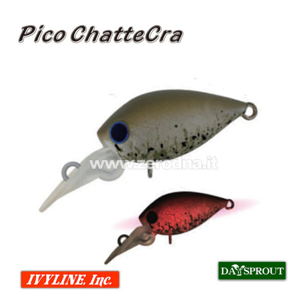 Daysprout Pico Chattercra