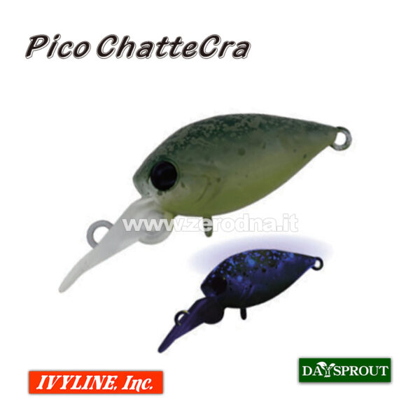 Daysprout Pico Chattercra