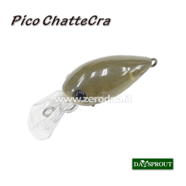 Daysprout Pico Chattercra