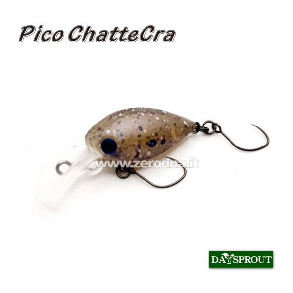 Daysprout Pico Chattercra