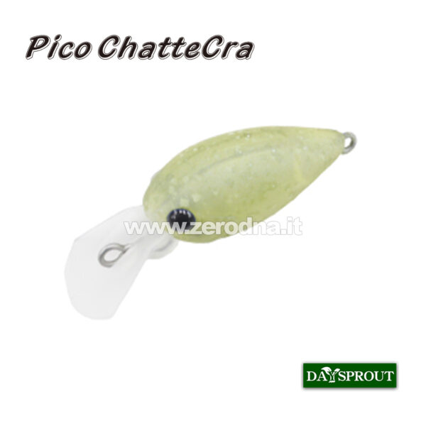 Daysprout Pico Chattercra